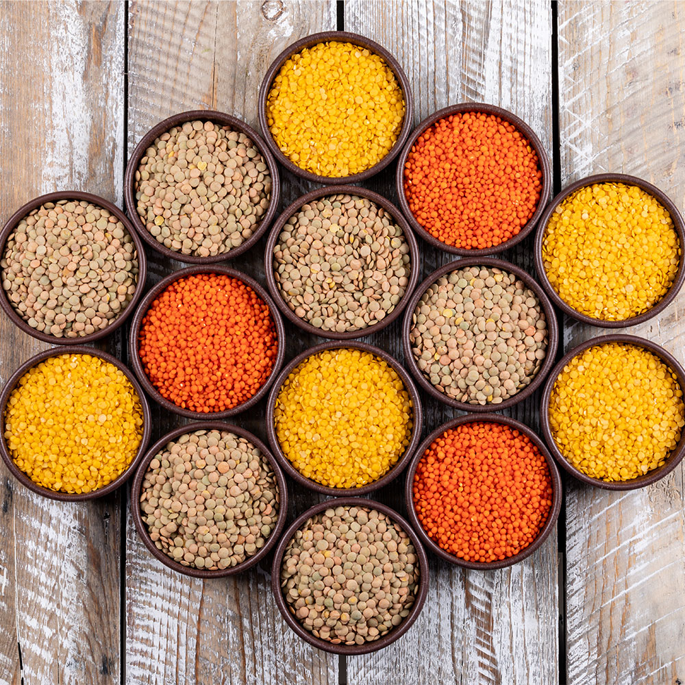 Pulses and lentils